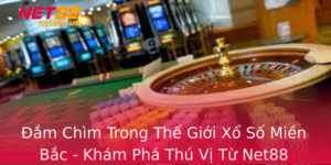 Am Chim Trong The Gioi Xo So Mien Bac Kham Pha Thu Vi Tu Net88