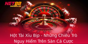 Hot Tai Xiu Bip Nhung Chieu Tro Nguy Hiem Tren San Ca Cuoc